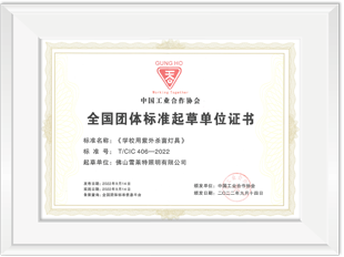 全国团队标准起草单位证书